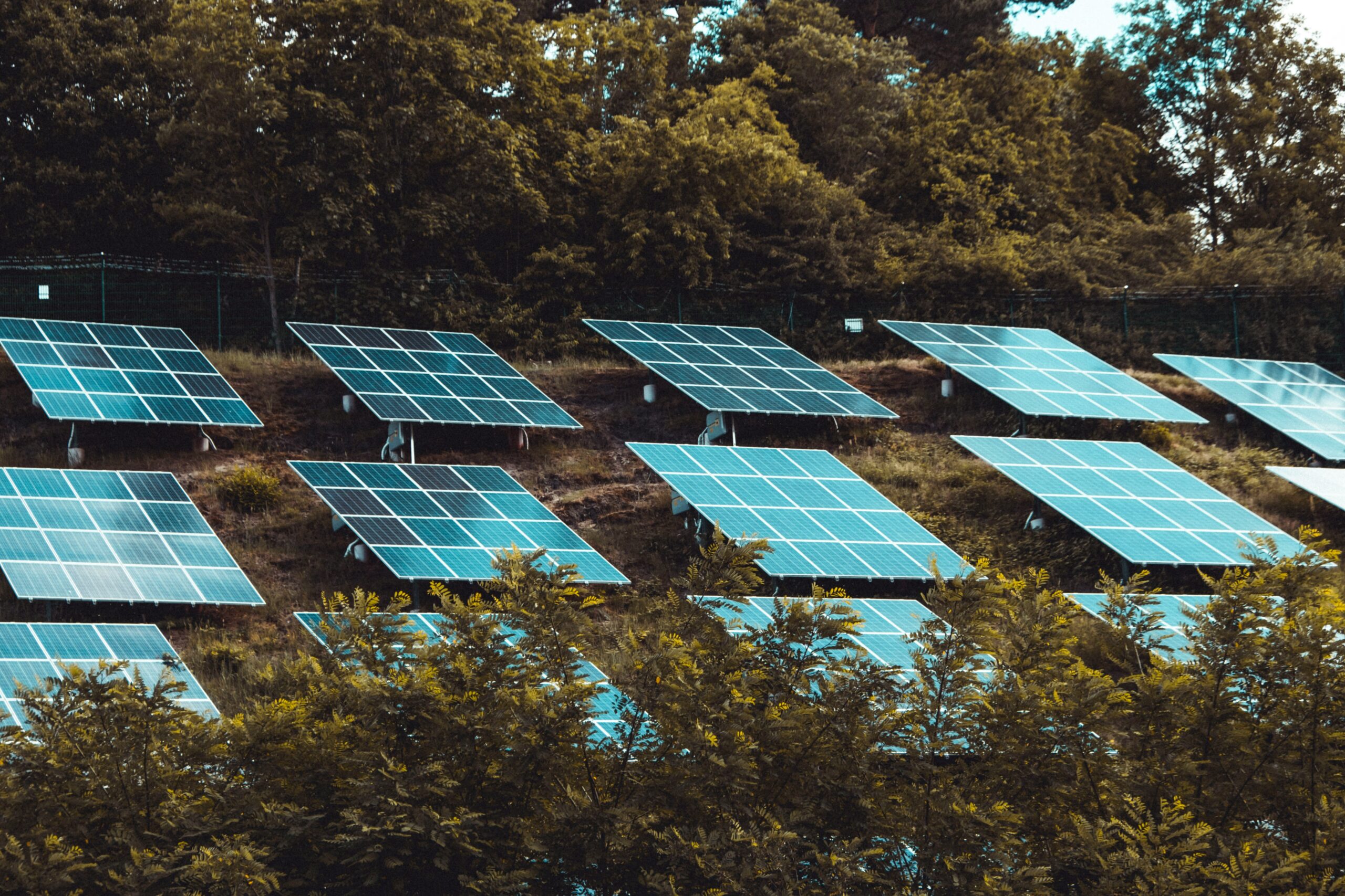 moritz-kindler–SKRzGN47iQ-unsplash